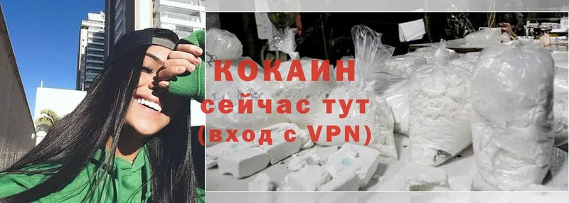 где купить наркоту  гидра зеркало  Cocaine Эквадор  Балахна 